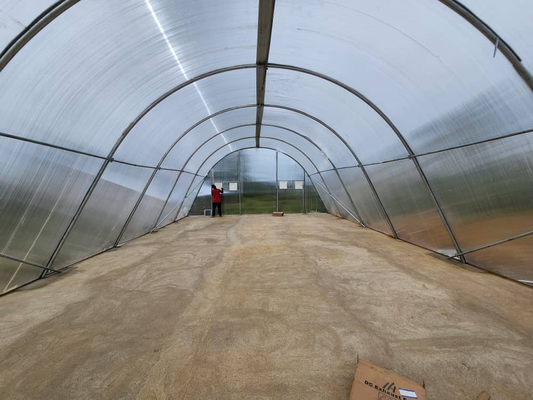 Serra di asciugatura ad alta efficienza energetica con ventilazione per l'asciugatura controllata di ortaggi e erbe