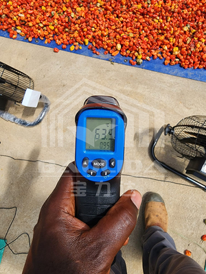 Serra di asciugatura ad alta efficienza energetica con ventilazione per l'asciugatura controllata di ortaggi e erbe