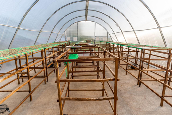 Serra per l'essiccazione dei cartoni PC resistente con ventilazione avanzata per l'essiccazione delle erbe ad alto rendimento