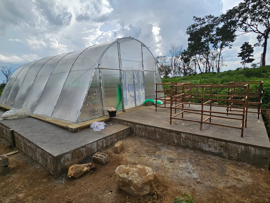 Ventilazione avanzata e serre per l'asciugatura di cartoni PC per la conservazione delle verdure e delle erbe