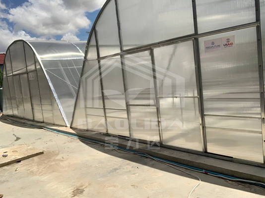 Ventilazione avanzata e serre per l'asciugatura di cartoni PC per la conservazione delle verdure e delle erbe
