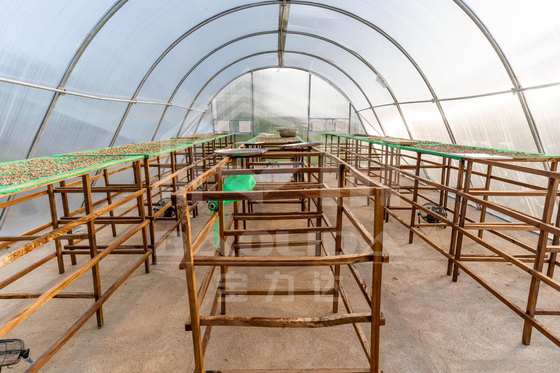 Serra di asciugatura intelligente personalizzabile per ortaggi e frutta in ambiente controllato