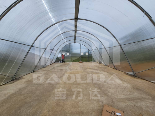 Serra di asciugatura intelligente personalizzabile per ortaggi e frutta in ambiente controllato