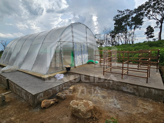 Serra di asciugatura intelligente personalizzabile per ortaggi e frutta in ambiente controllato