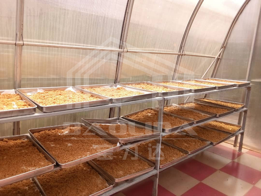 Serra di asciugatura intelligente personalizzabile per ortaggi e frutta in ambiente controllato