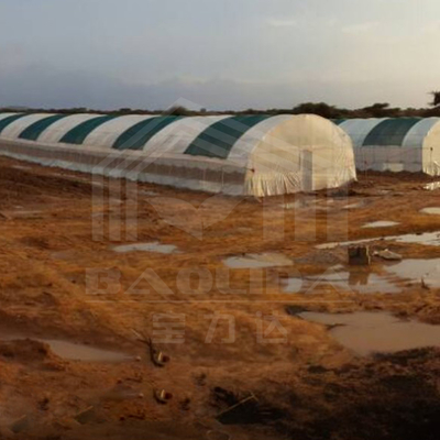 Serra galvanizzata con galleria per la produzione efficiente di ortaggi