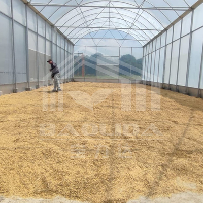 Serra in alto tunnel con struttura in acciaio resistente per l'agricoltura