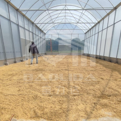 Serra in alto tunnel con struttura in acciaio resistente per l'agricoltura