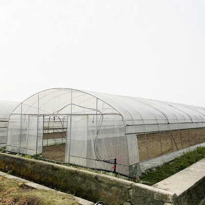 Serra di galleria agricola su misura con rivestimento in pellicola PE