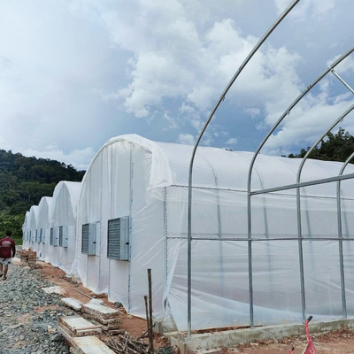 Serra galvanizzata per tubi a cornice di galleggiamento con isolamento ottimale