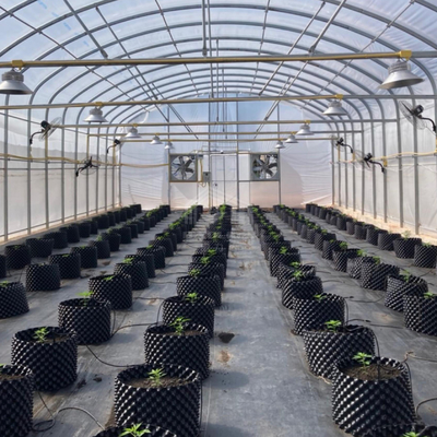 Pratica serra in alto tunnel per soluzioni agricole