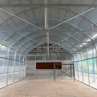Pratica serra in alto tunnel per soluzioni agricole