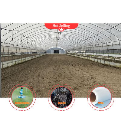 BAOLIDA Economica Agricoltura Ombra Nera Nera Tunnel Film Serra Per Funghi
