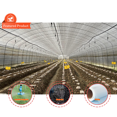 BAOLIDA Economica Agricoltura Ombra Nera Nera Tunnel Film Serra Per Funghi