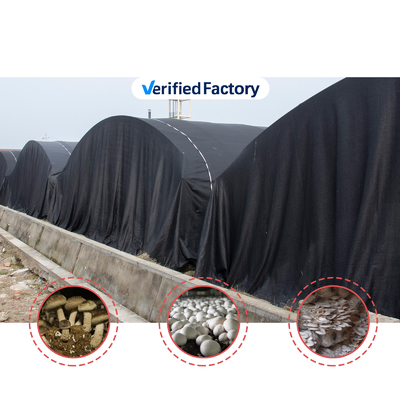 Serra per funghi personalizzabile con ventilazione manuale o elettrica