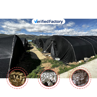 Altezza laterale 1,2-1,8 m e spazio dell'arco 1-1,5 m Funghi Polytunnel Serra protetta dai raggi UV