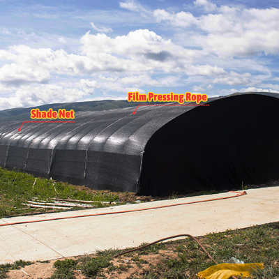 Cortina di oscuramento Casa verde Negro Serre agricole Tunneling per funghi