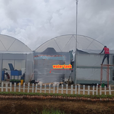 Coltivazione di fiori e ortaggi Serra Quonset Hut Conservatorio Casa di coltivazione Griglia connessa Grandi serre con ventilazione sul tetto