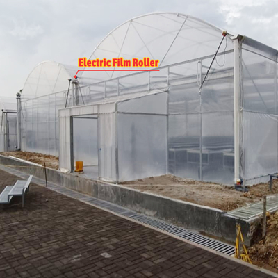 Coltivazione di fiori e ortaggi Serra Quonset Hut Conservatorio Casa di coltivazione Griglia connessa Grandi serre con ventilazione sul tetto