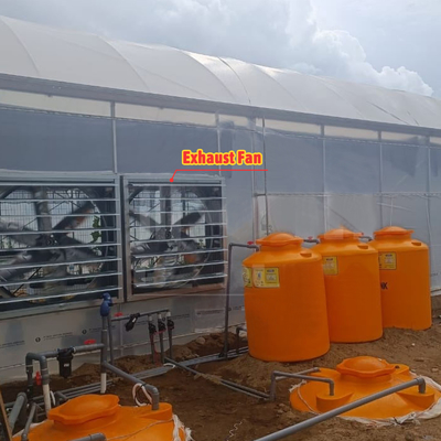 Coltivazione di fiori e ortaggi Serra Quonset Hut Conservatorio Casa di coltivazione Griglia connessa Grandi serre con ventilazione sul tetto