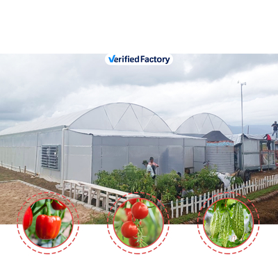 Coltivazione di fiori e ortaggi Serra Quonset Hut Conservatorio Casa di coltivazione Griglia connessa Grandi serre con ventilazione sul tetto