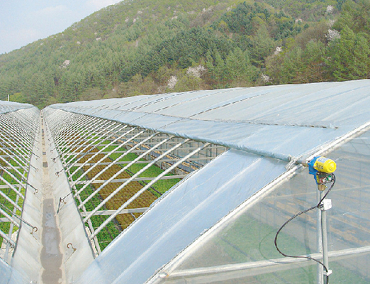 Serra a fiore multi-tunnel Po Film multi-span con moderne apparecchiature di controllo automatico