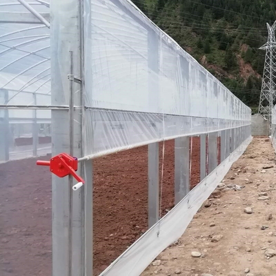 Serra a fiore multi-tunnel Po Film multi-span con moderne apparecchiature di controllo automatico