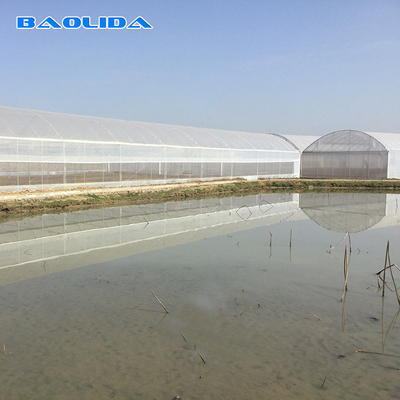 8-60m lunghezza tunnel alto serra con pellicola di plastica dimensioni personalizzabili per l'agricoltura e la produzione di fiori