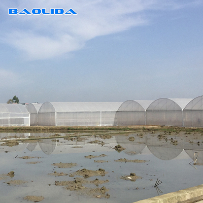 8-60m lunghezza tunnel alto serra con pellicola di plastica dimensioni personalizzabili per l'agricoltura e la produzione di fiori