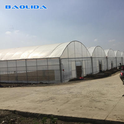 8-60m lunghezza tunnel alto serra con pellicola di plastica dimensioni personalizzabili per l'agricoltura e la produzione di fiori