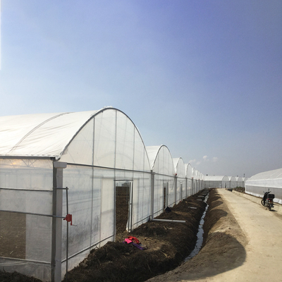 8-60m lunghezza tunnel alto serra con pellicola di plastica dimensioni personalizzabili per l'agricoltura e la produzione di fiori