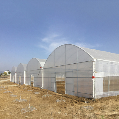 8-60m lunghezza tunnel alto serra con pellicola di plastica dimensioni personalizzabili per l'agricoltura e la produzione di fiori