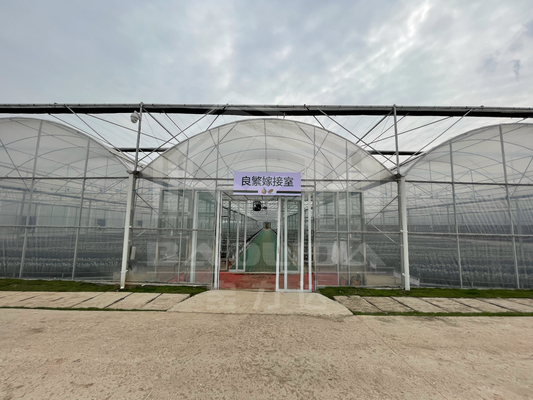 Baolida High Tunnel Film di plastica Multi Span Greenhouse tropicale