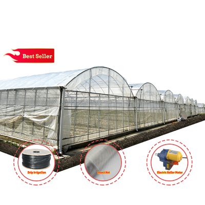 Baolida Sistema automatico personalizzato Serra Sistema idroponico tropicale Serra per semini multi-span