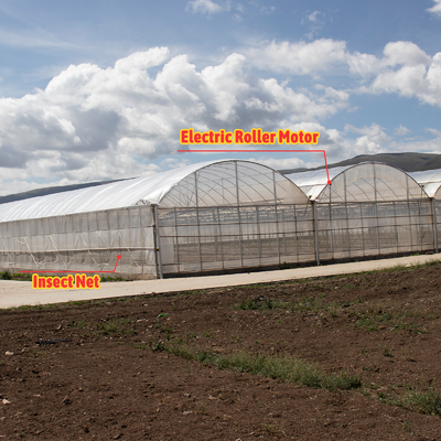 Serra a pellicola di plastica ad alta intensità ad arco multi-spano tubi di acciaio galvanizzati a caldo Agricoltura Serra