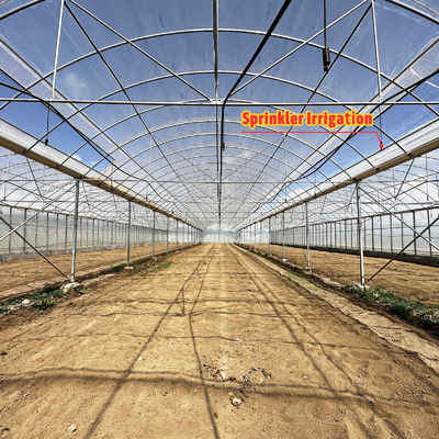 Baolida Sistema automatico personalizzato Serra Sistema idroponico tropicale Serra per semini multi-span