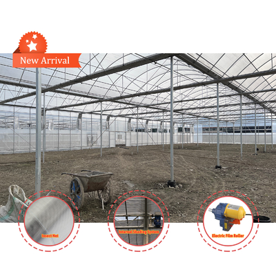 Soluzione per la coltivazione di ortaggi 8-60m Dimensioni personalizzabili Tonnello agricolo Serra con banco a rotelle e sistema di irrigazione
