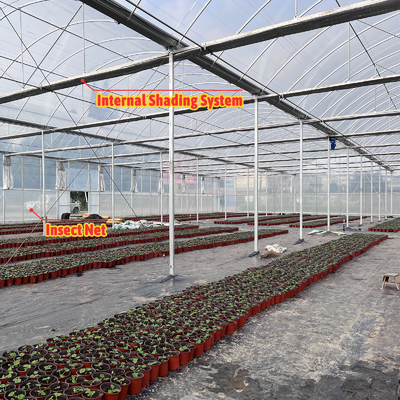 Soluzione per la coltivazione di ortaggi 8-60m Dimensioni personalizzabili Tonnello agricolo Serra con banco a rotelle e sistema di irrigazione