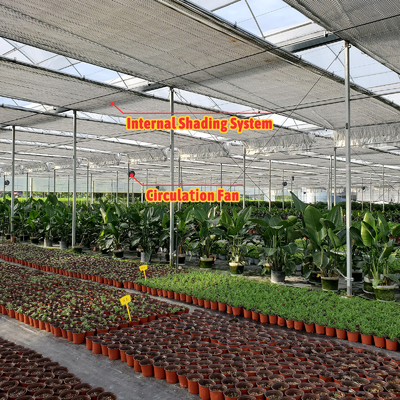Soluzione per la coltivazione di ortaggi 8-60m Dimensioni personalizzabili Tonnello agricolo Serra con banco a rotelle e sistema di irrigazione