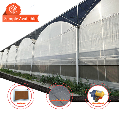 Serra multi-span 6.8m Span con 100-200micron PE Film