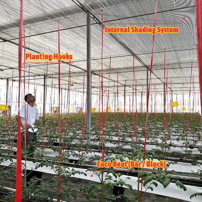Serra multi-span 6.8m Span con 100-200micron PE Film