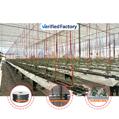 Serra multi-span 6.8m Span con 100-200micron PE Film
