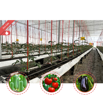 Serra multi-span 6.8m Span con 100-200micron PE Film