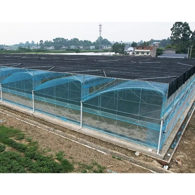 Kit serra multi-span da 6 a 12 metri con pellicola PE e garanzia di 10 anni