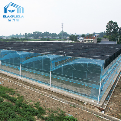Kit per serre agricole multi-span 6m-12m con garanzia di 10 anni