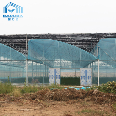 Kit per serre agricole multi-span 6m-12m con garanzia di 10 anni