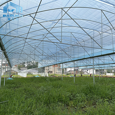 Kit per serre agricole multi-span 6m-12m con garanzia di 10 anni