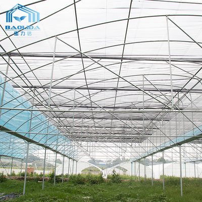 Kit per serre agricole multi-span 6m-12m con garanzia di 10 anni