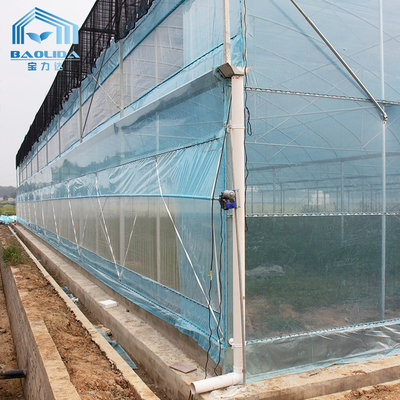Kit per serre agricole multi-span 6m-12m con garanzia di 10 anni