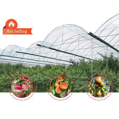 Customizable Size Hot Dipped Galvanized Steel Frame PE Film Covering Rain Shelter Greenhouse for Plants Cultivation